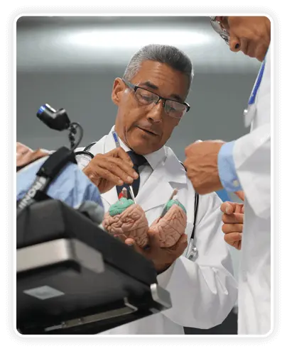 The Brain Song Dr. James